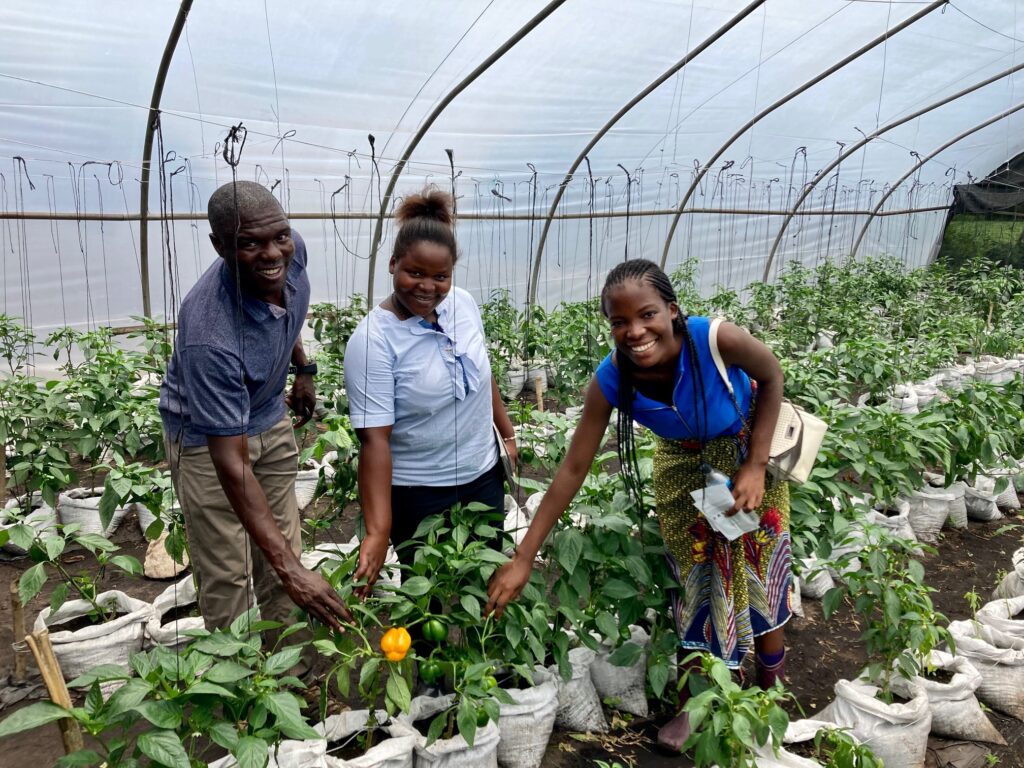 Introducing partners from our £3m Carbon Innovation Fund Coop Foundation
