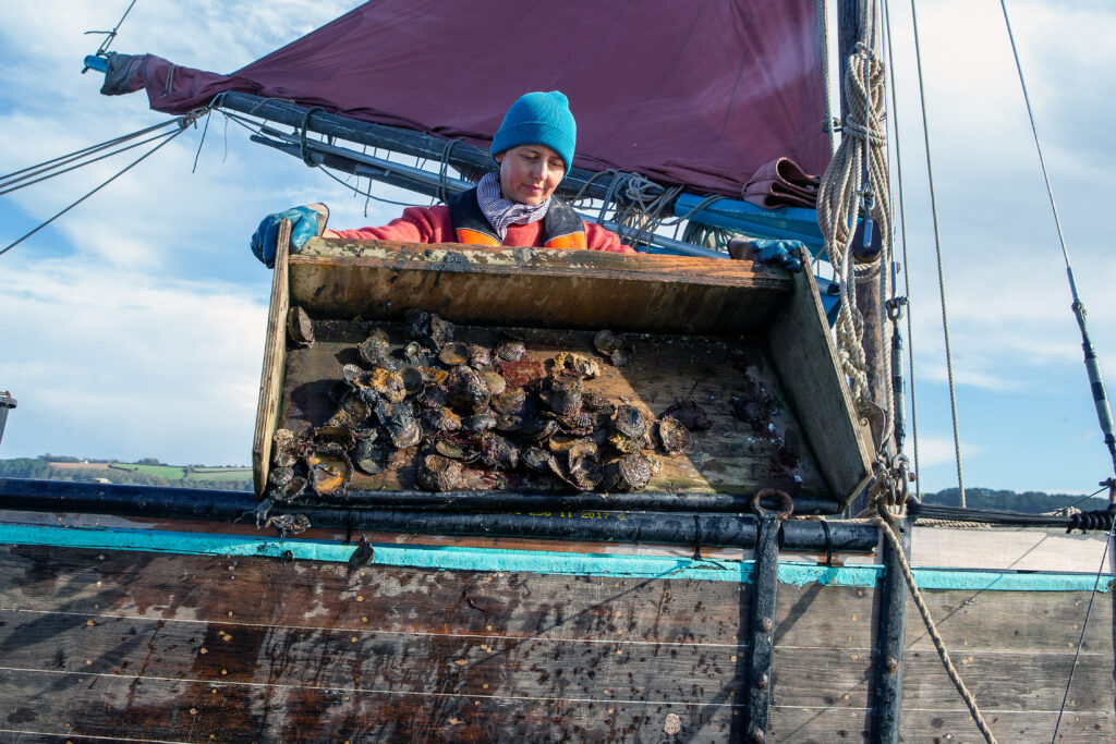 Mary, a volunteer at Fal Fishery, out on a boat helping with Oysters to build more sustainable communities. Supported by Co-op Foundation's Carbon Innovation Fund.